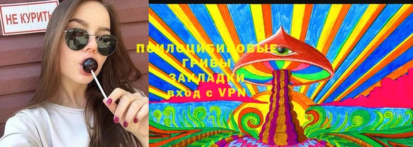 спиды Аркадак