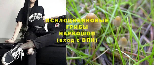 дурь Армянск