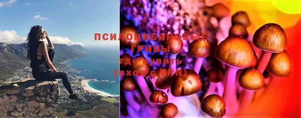 спиды Аркадак
